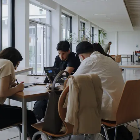 Vier Personen sitzen an einem Tisch in einem hellen Raum mit Fenstern. Sie beschäftigen sich mit Laptops und Notizen. Die Atmosphäre ist konzentriert und studienorientiert. Im Hintergrund sind Pflanzen und Möbel zu erkennen.