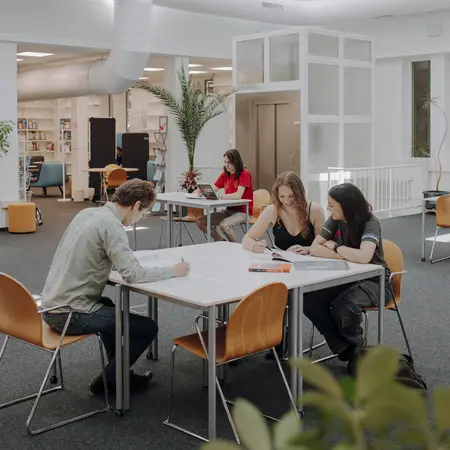 In einem modernen Raum studieren fünf Personen an Tischen. Zwei Frauen arbeiten konzentriert zusammen, während ein Mann und eine weitere Frau am Tisch gegenüber Notizen machen. Der Raum ist hell erleuchtet und hat große Fenster sowie eine freundliche Atmosphäre.