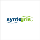 syntegris information solutions GmbH