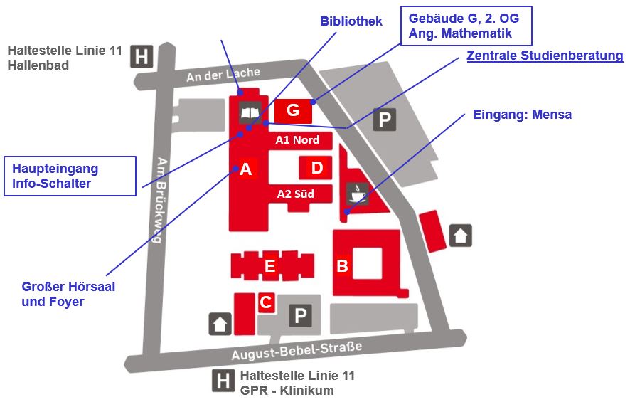 pathologie der weiblichen genitalorgane ii