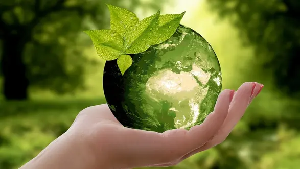 grüne Weltkugel in Hand