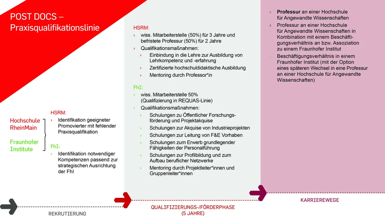 Übersicht über Struktur der PostDoc-Linie in REQUAS