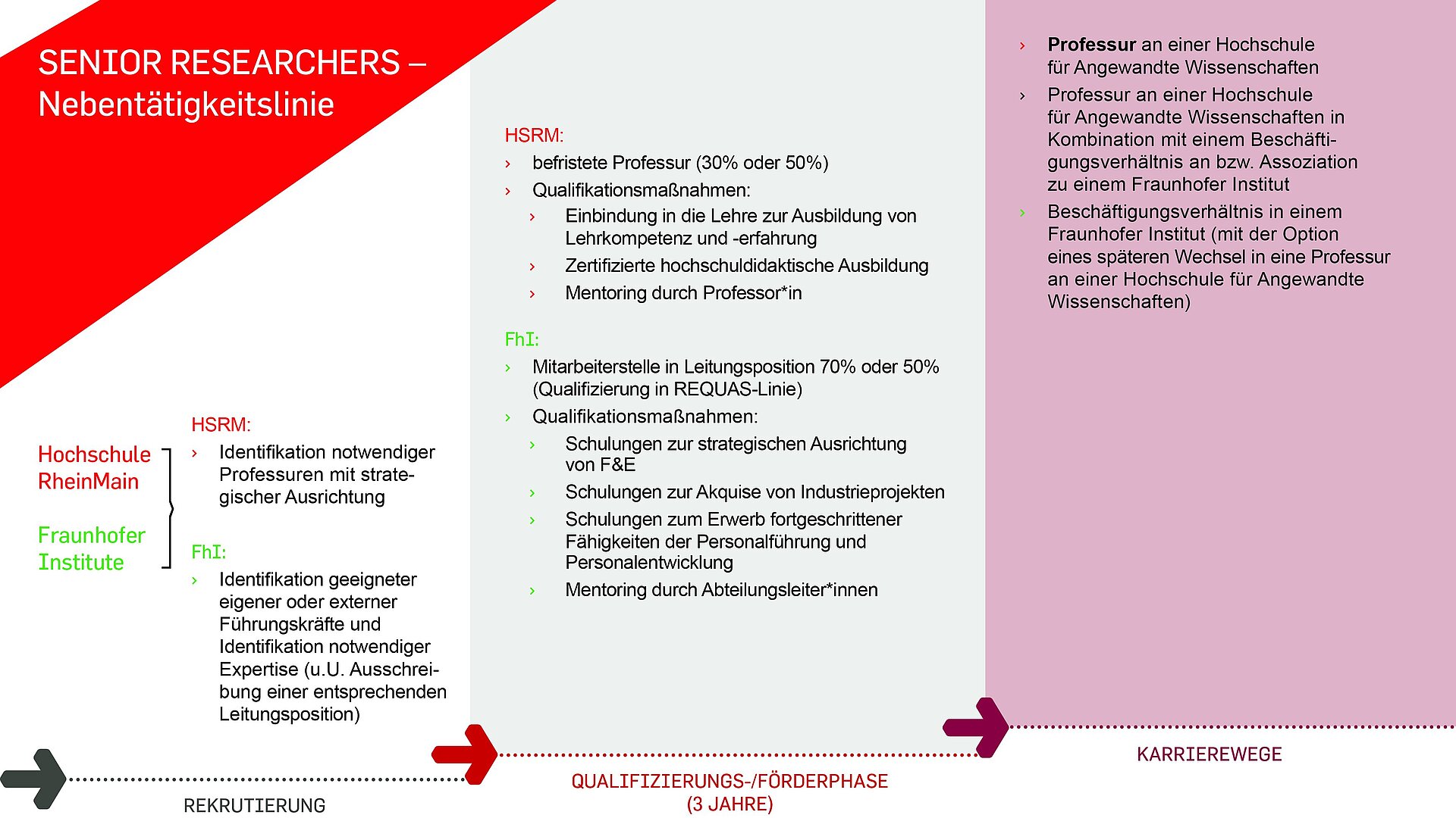 Übersicht über Struktur der SeniorResearchers-Linie in REQUAS