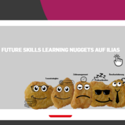 Selbstlerneinheiten Future Skills