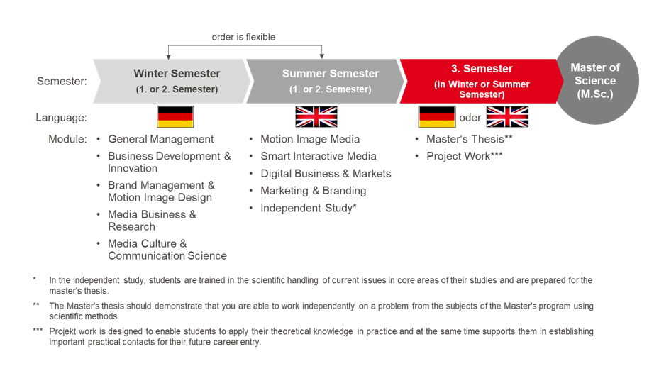 Description of the MDM study program