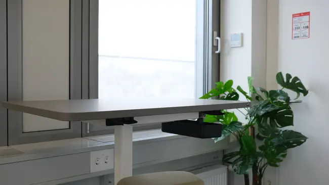 Ein höhenverstellbarer Schreibtisch steht neben einem Fenster. Eine moderne Pflanze ist im Hintergrund zu sehen. Der Tisch hat eine schwarze Ablage, und ein Stuhl mit beigefarbenem Sitzpolster befindet sich darunter. Die Umgebung wirkt hell und freundlich.