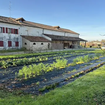 An agricultural area with various plants growing on black-covered soil. In the background is a large, two-story building with red shutters. The sky is clear and blue, while the meadow in the foreground is green.