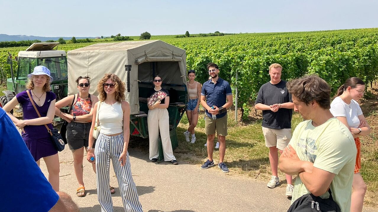Weinbergsrundfahrt beim Winzer