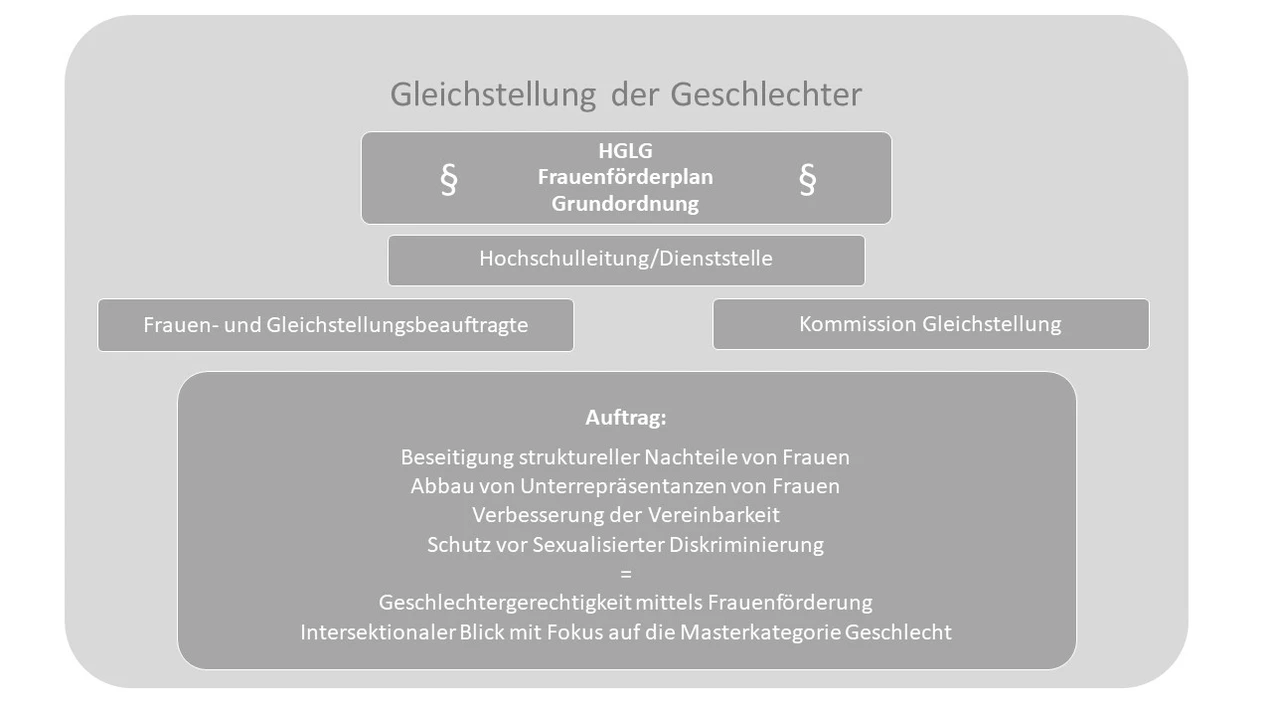 Visuelle Übersicht des gesetzlichen Auftrags der Frauen- und Gleichstellungsbeauftragten