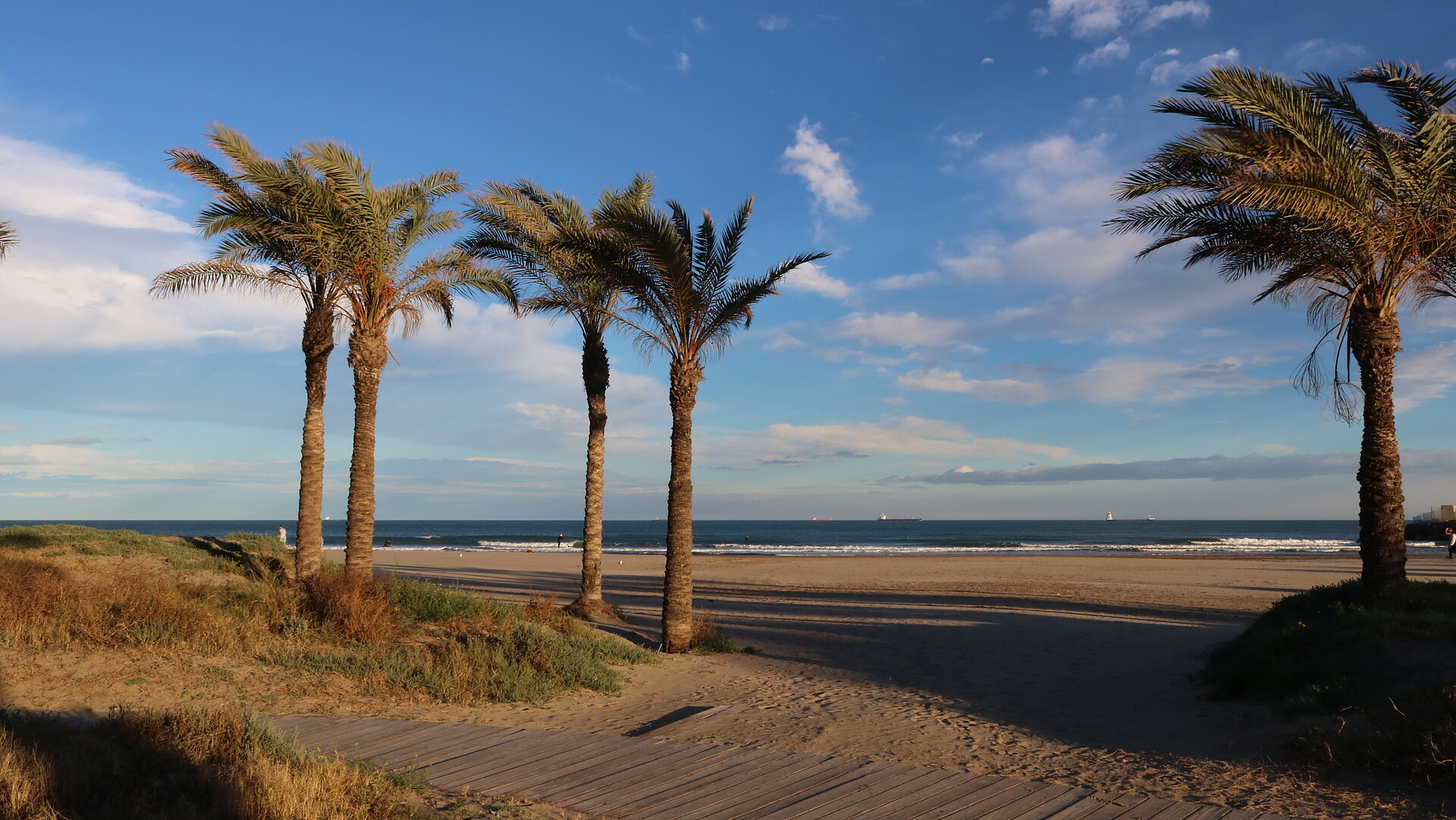 Auf dem Bild sind Strand, Palmen und Meer abgebildet