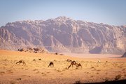 Landschaft in Jordanien © Johannes Bruns 