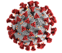 Illustration des Coronavirus SARS-CoV-2