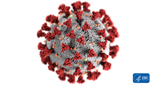 Illustration des Coronavirus SARS-CoV-2