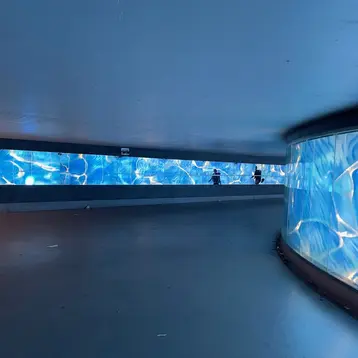 Eine moderne Tunnelansicht mit sanften, blauen Lichtreflexionen an den Wänden. Im Hintergrund sind zwei Personen sichtbar, die den Weg entlanggehen. Der Boden ist klar und eben, und die Wände erzeugen eine ruhige, aquatische Atmosphäre.