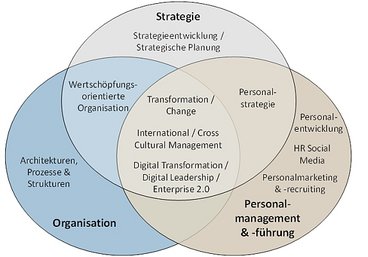 Schaubild: Projekt- und Forschungsschwerpunkte von Prof. Dr. Thorsten Petry