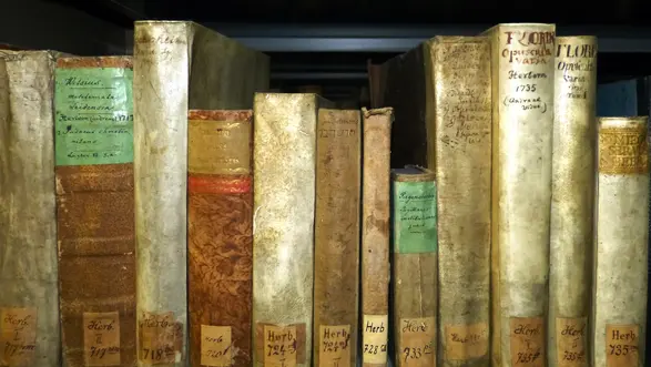 Herborner Drucke in der Hochschul- und Landesbibliothek RheinMain