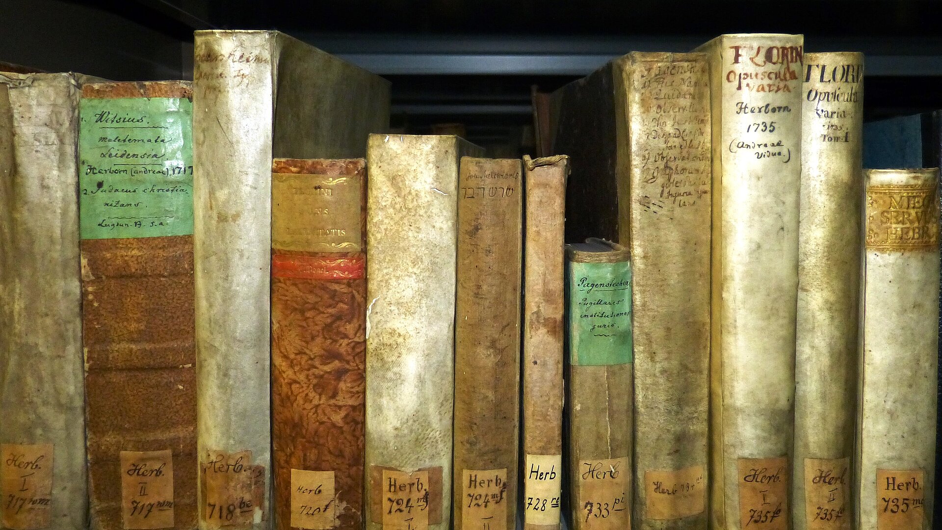 Herborner Drucke in der Hochschul- und Landesbibliothek RheinMain