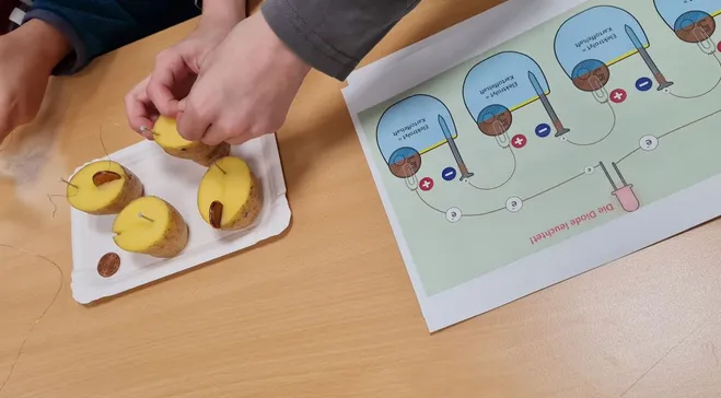 Aufbau der Kartoffelbatterie mit Anleitung