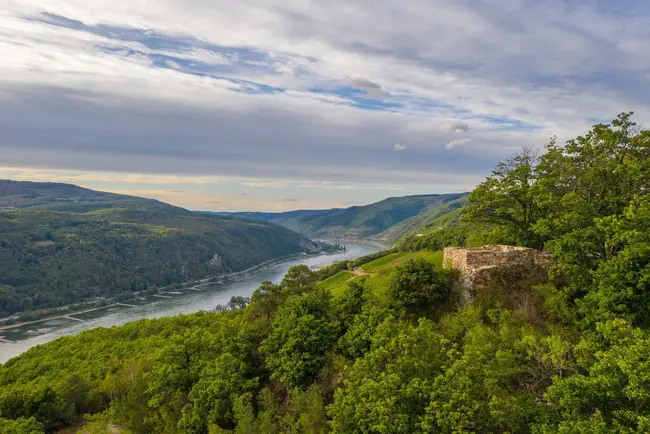 Blick über den Osteinschen Niederwald