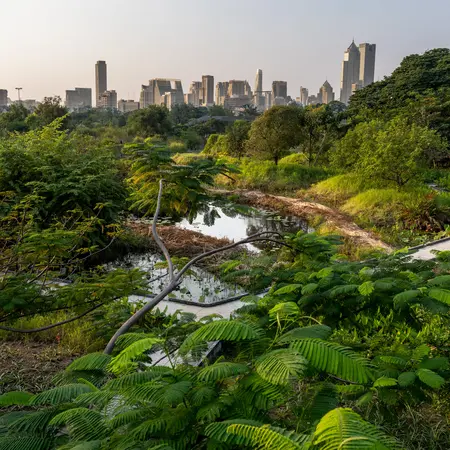 Ein grüner Park mit üppiger Vegetation und einem kleinen Gewässer im Vordergrund. Im Hintergrund sind moderne Gebäude einer Stadt zu sehen, die gegen den Himmel ragen. Die Szene vermittelt ein Gefühl von Natur im städtischen Raum.