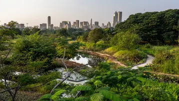 Green park with lush vegetation