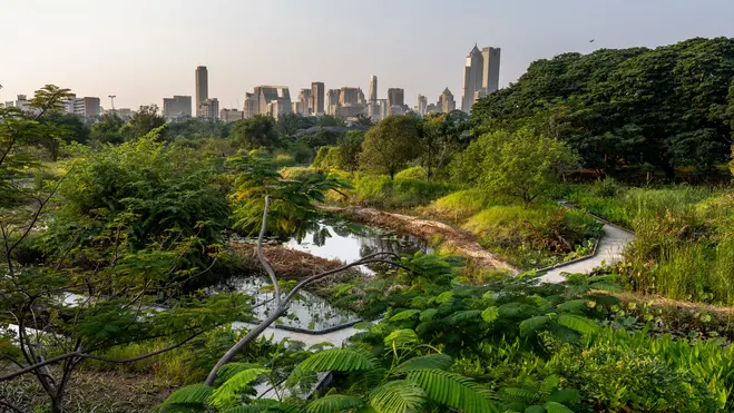 Ein grüner Park mit üppiger Vegetation und einem kleinen Gewässer im Vordergrund. Im Hintergrund sind moderne Gebäude einer Stadt zu sehen, die gegen den Himmel ragen. Die Szene vermittelt ein Gefühl von Natur im städtischen Raum.