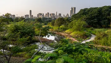 Ein grüner Park mit üppiger Vegetation und einem kleinen Gewässer im Vordergrund. Im Hintergrund sind moderne Gebäude einer Stadt zu sehen, die gegen den Himmel ragen. Die Szene vermittelt ein Gefühl von Natur im städtischen Raum.