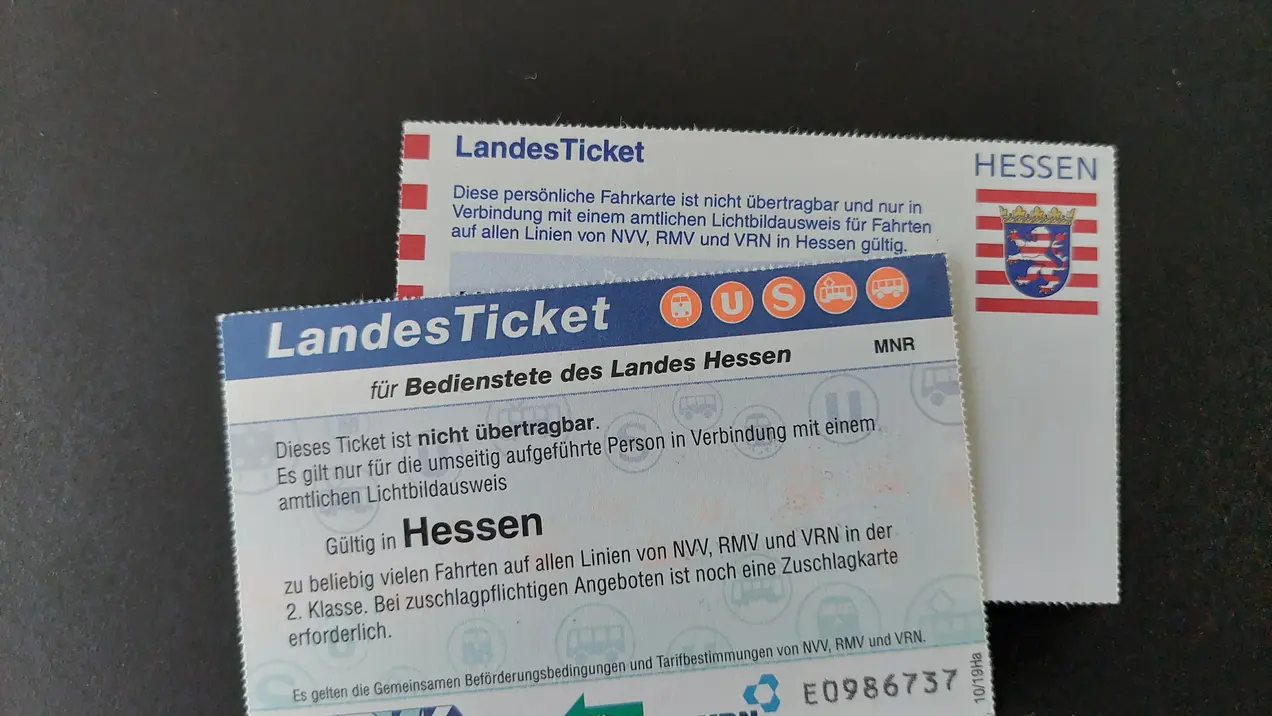 Abbildung des Landestickets