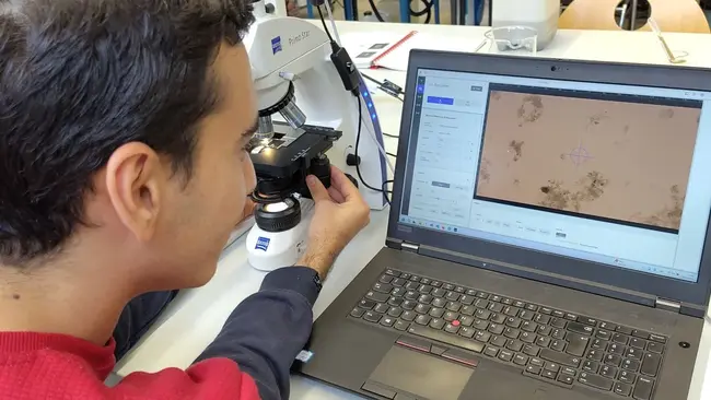 A student looks at results from microscoping on his screen.