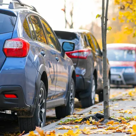 Eine Reihe geparkter Autos auf einer Straße, umgeben von herbstlichen Blättern. Ein blauer SUV ist im Vordergrund sichtbar, während weitere Fahrzeuge im Hintergrund stehen. Die Szene vermittelt eine ruhige Herbstatmosphäre.