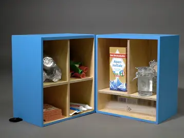 The image shows two blue storage boxes with open lids. One box contains various items like tubes and small containers, while the other features a jar of water, a box of salt, and some paper supplies. The boxes are neatly organized and displayed against a gray background.