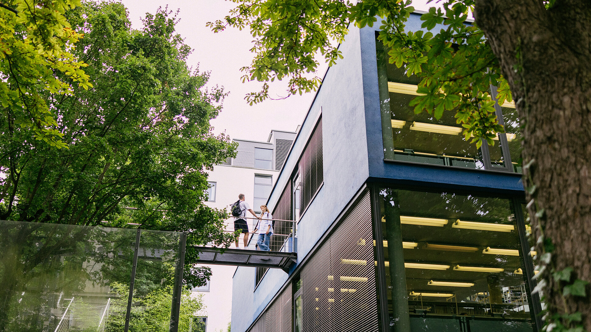 Neubau, Mensa, Bibliothek der Wiesbaden Business School