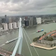Erasmusbrücke Rotterdam