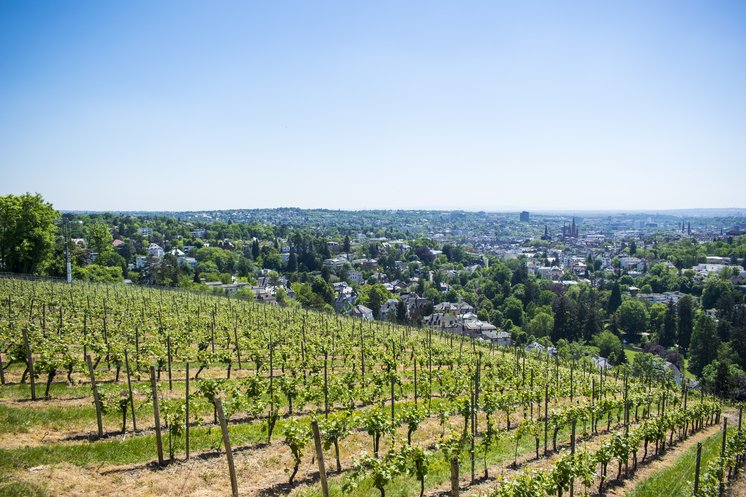 Image Shows the View from Neroberg to Wiesbaden