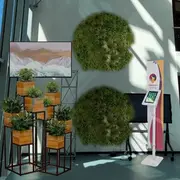 Visualisierung des Begrünungsprojekt der Hochschule RheinMain in Kooperation mit der Hochschule Geisenheim University