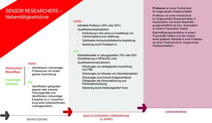 Übersicht Senior Researcher - Nebentätigkeitslinie