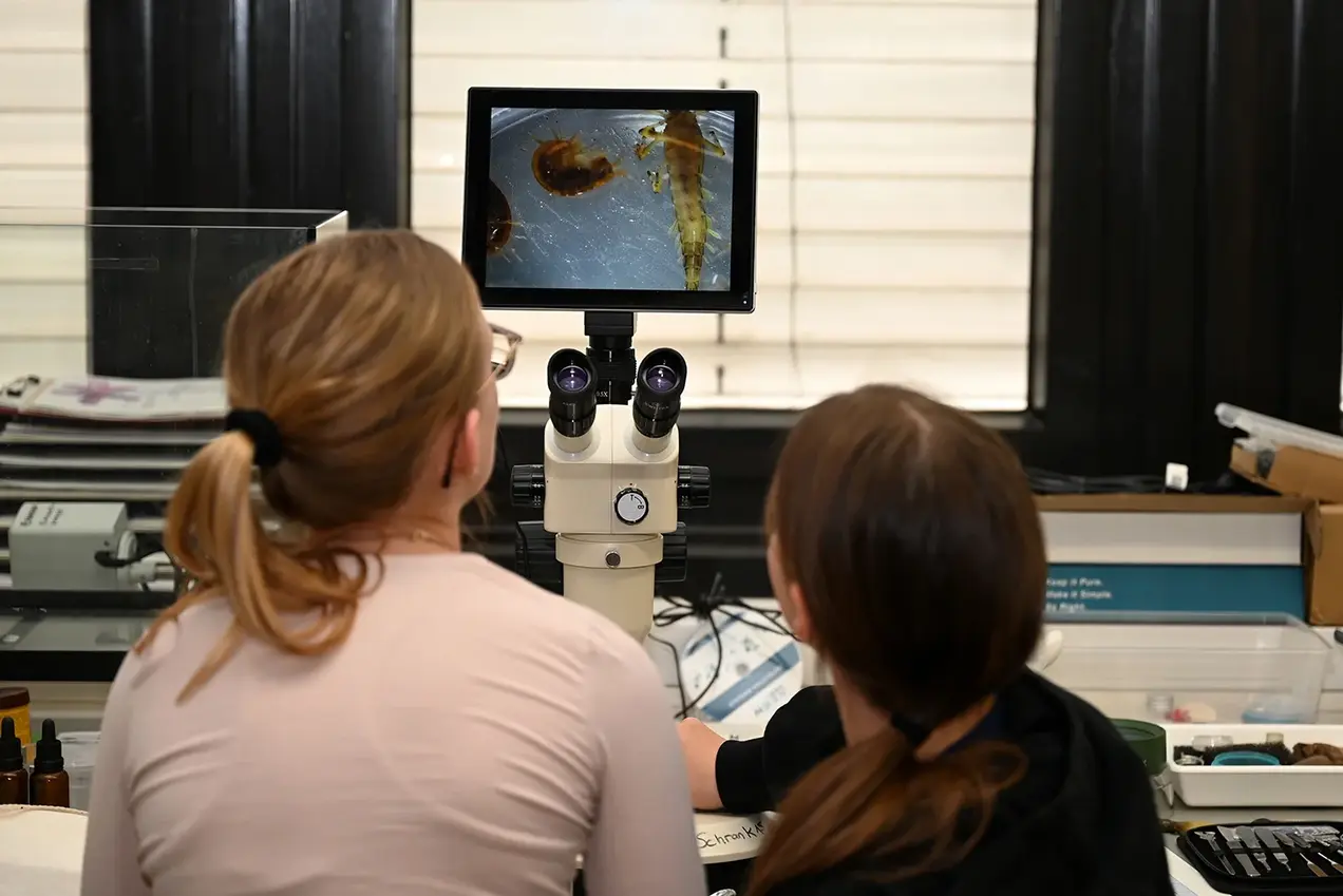 Zwei Teilnehmerinnen am Girls’Day 2026 sitzen an einem Tisch und schauen durch ein Mikroskop der Hochschule RheinMain. Auf dem Bildschirm hinter dem Mikroskop sind mikroskopische Aufnahmen von kleinen Organismen oder Proben zu sehen.
