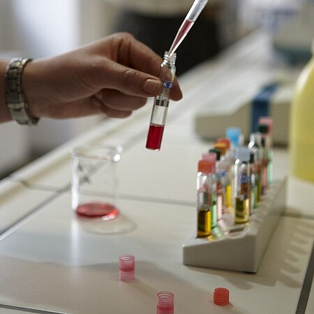 Küvettentest die mittel Kolbenhubpipette befüllt wird. Im Hintergrund mehrere Küvetten auf einem Küvettenständer
