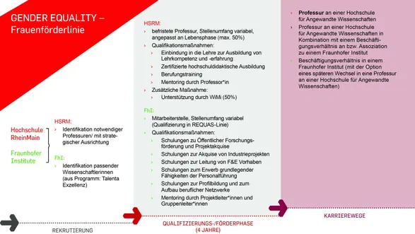 Übersicht über Struktur der GenderEquality-Linie in REQUAS