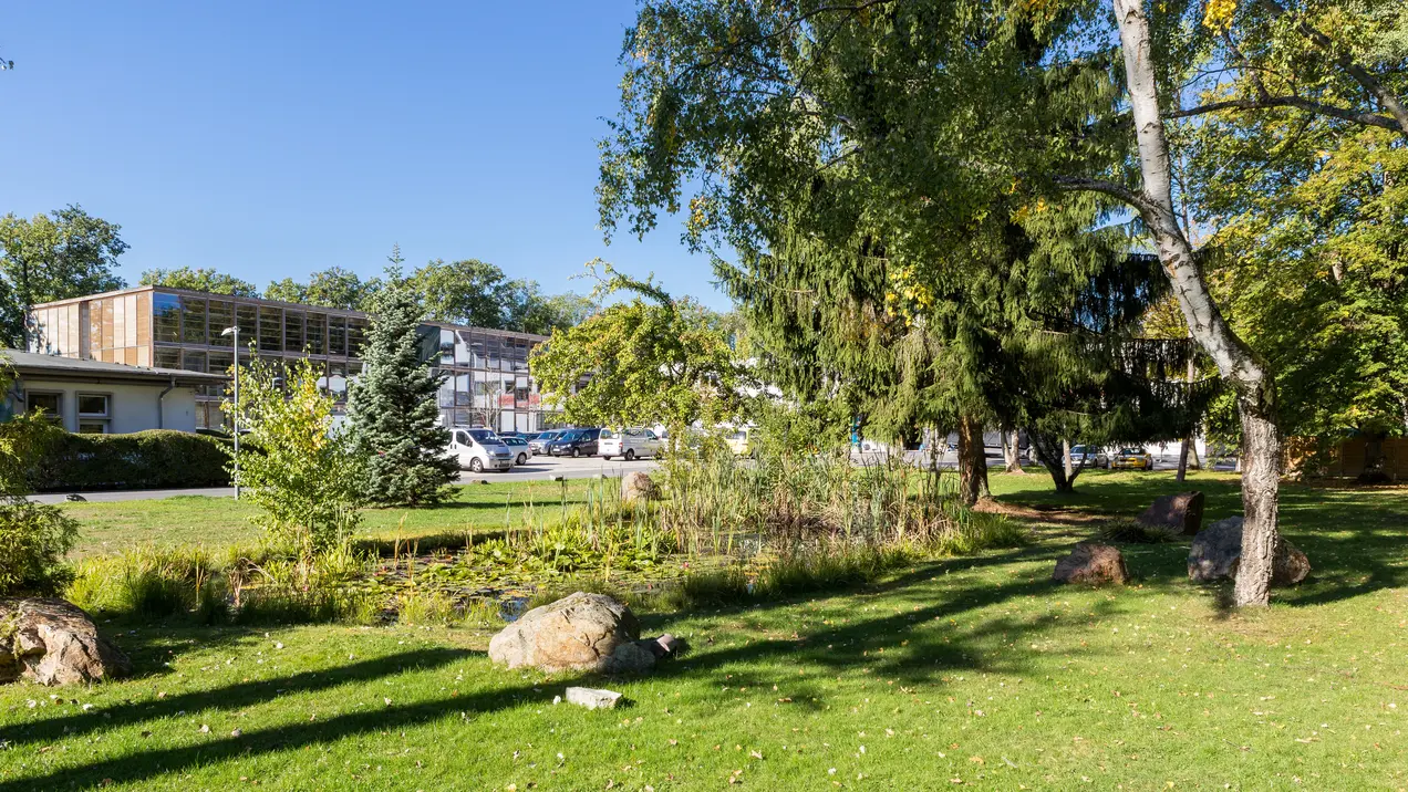 Ansicht Wiese mit Baum, im Hintergrund Gebäude B2