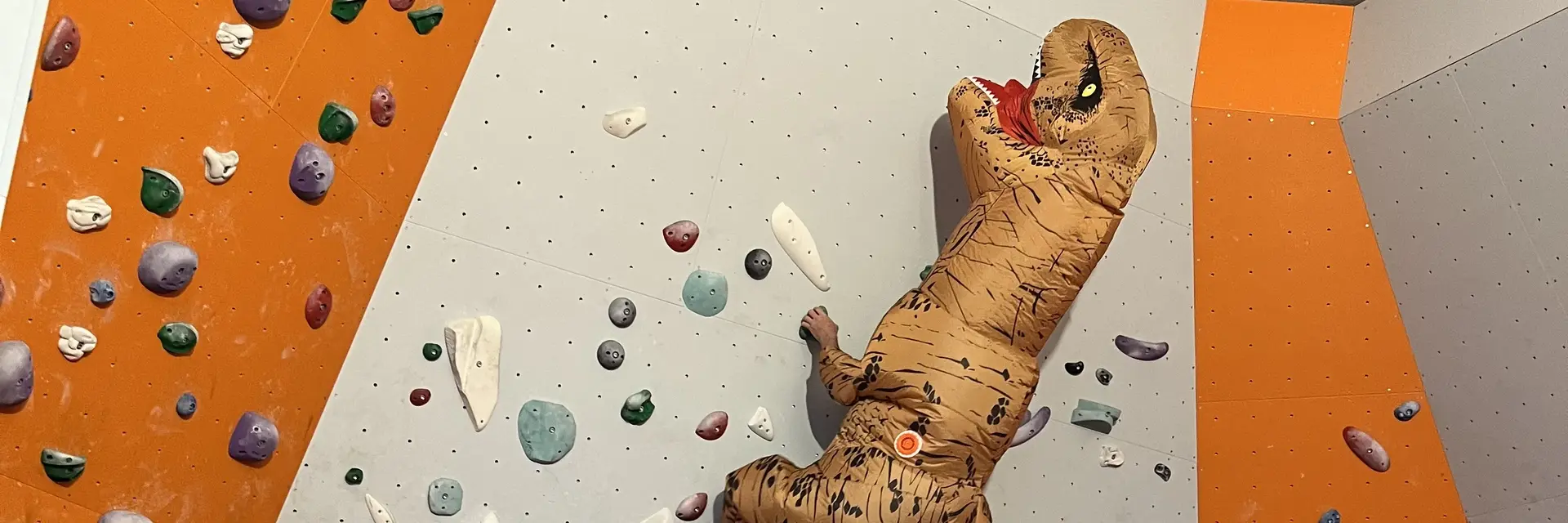Kletternder Dino an der Boulderwand
