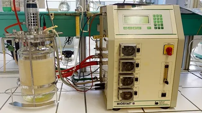 Laboranaerobreaktor