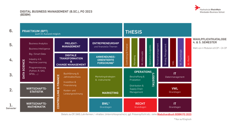 Schaubild: Aufbau des Bachelor-Studiengangs Digital Business Management (B.Sc.)