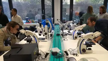 In einem Raum arbeiten mehrere Personen an Mikroskopen, konzentriert auf ihre Untersuchungen. Auf dem Tisch befinden sich mehrere Mikroskope und Kabel. Im Hintergrund sind weitere Teilnehmer zu sehen, die ebenfalls mit Mikroskopen arbeiten.