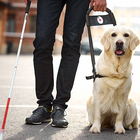 Person mit Langstock und Assistenzhund.