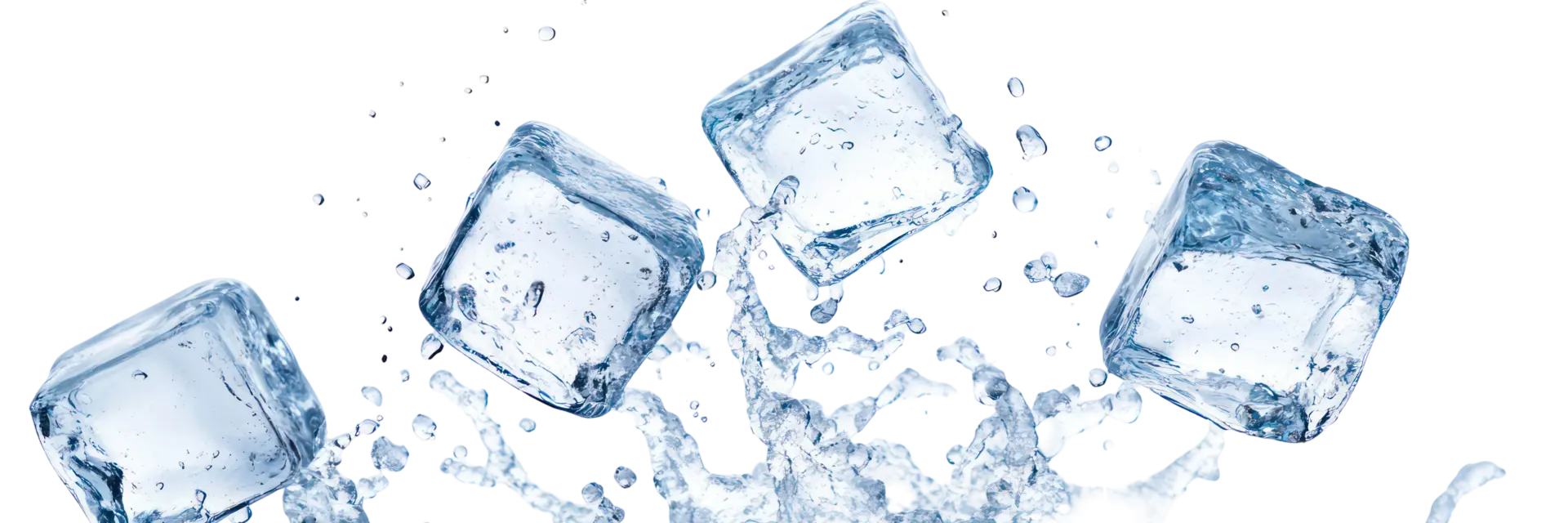Vier Eiswürfel fallen in Wasser und spritzen. Die Eiswürfel sind klar und haben eine glatte Oberfläche, während das Wasser um sie herum aufgeworfen wird.