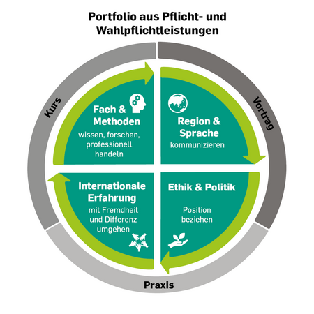 Kreisgrafik zu den Inhalten des Zertifikatsprogramms Studium International