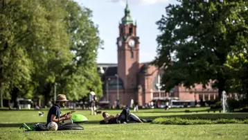 Mann sitzt in der Reisinger Anlage auf dem Rasen