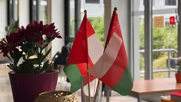 Zwei Fahnen stehen neben einer Pflanzenvase. Die eine Fahne ist rot mit einem weißen Kreuz, die andere rot und grün. Die Umgebung zeigt ein helles, einladendes Innenraumambiente mit einem Blick nach draußen.