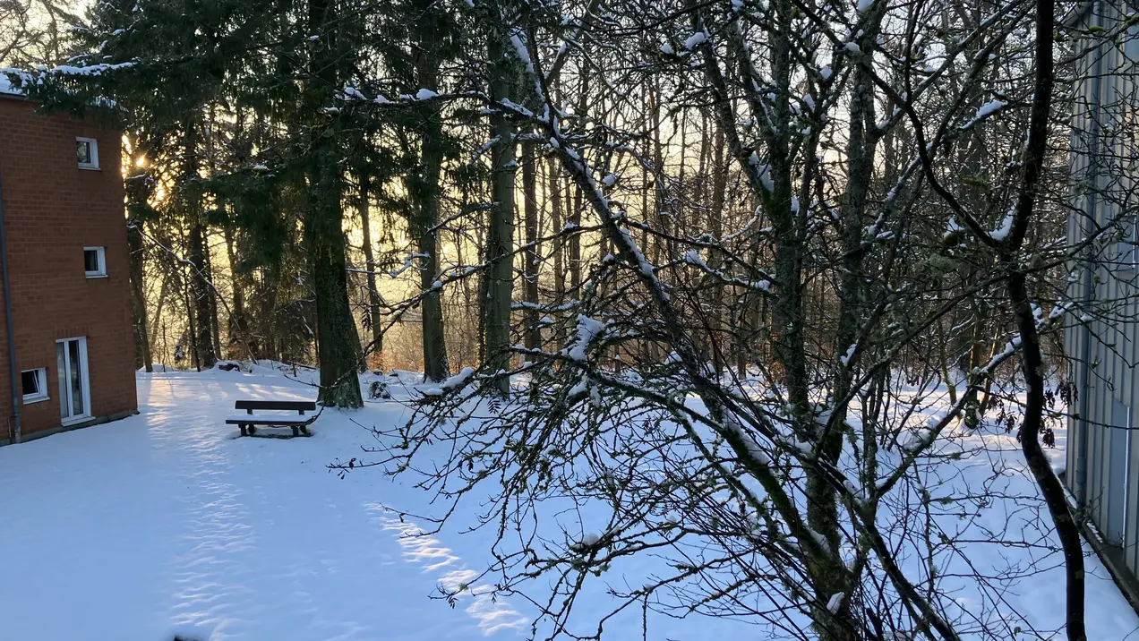 Blick aus dem Fenster des Veranstaltungorts der Winterschool. Das Gelände zeigt einen Schnee bedeckten Wald.